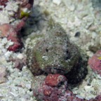 Vilamendhoo45.jpg