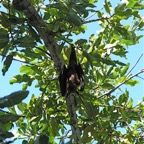 Vilamendhoo50.jpg