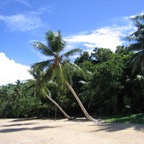 Yap & Palau 2006004.jpg