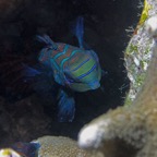 Yap & Palau 2006016.jpg