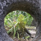 Yap & Palau 2006026.jpg
