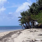 Yap & Palau 2006028.jpg