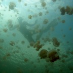 Yap & Palau 2006056.jpg