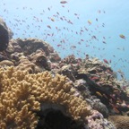 Yap & Palau 2006066.jpg