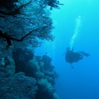 Yap & Palau 2006078.jpg