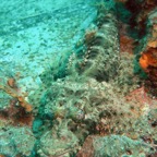 Yap & Palau 2006084.jpg