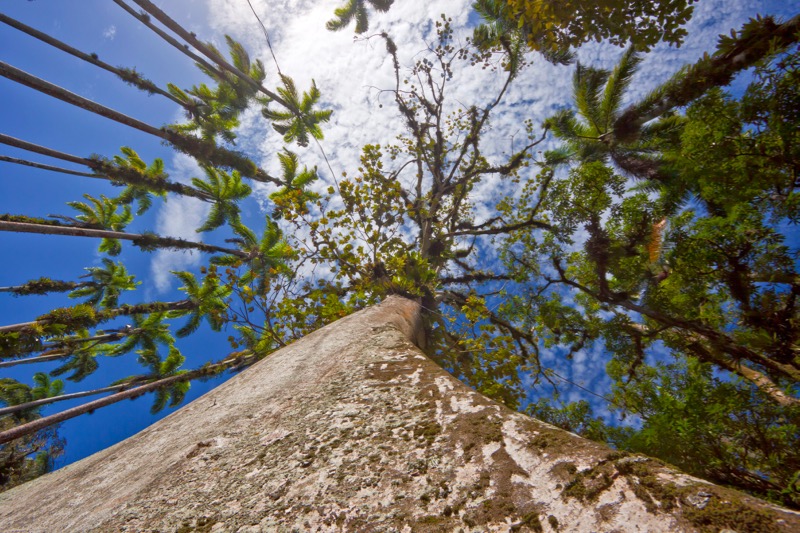 Photographer:
Juergen Stamms