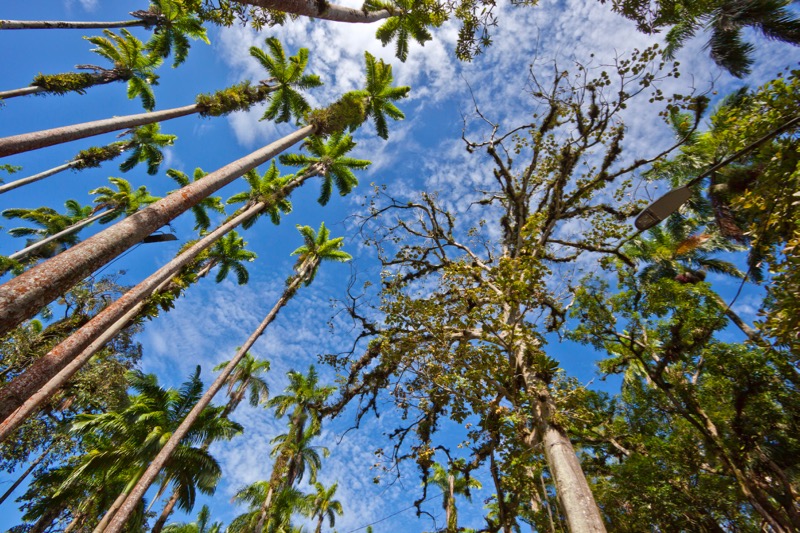 Photographer:
Juergen Stamms