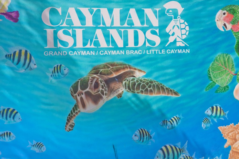 Photographer:
Juergen Stamms