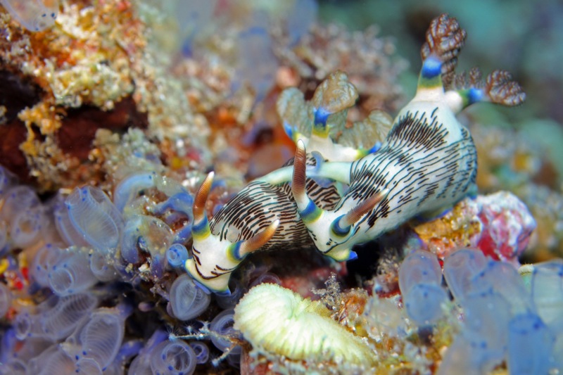 Photographer:Juergen Stamms