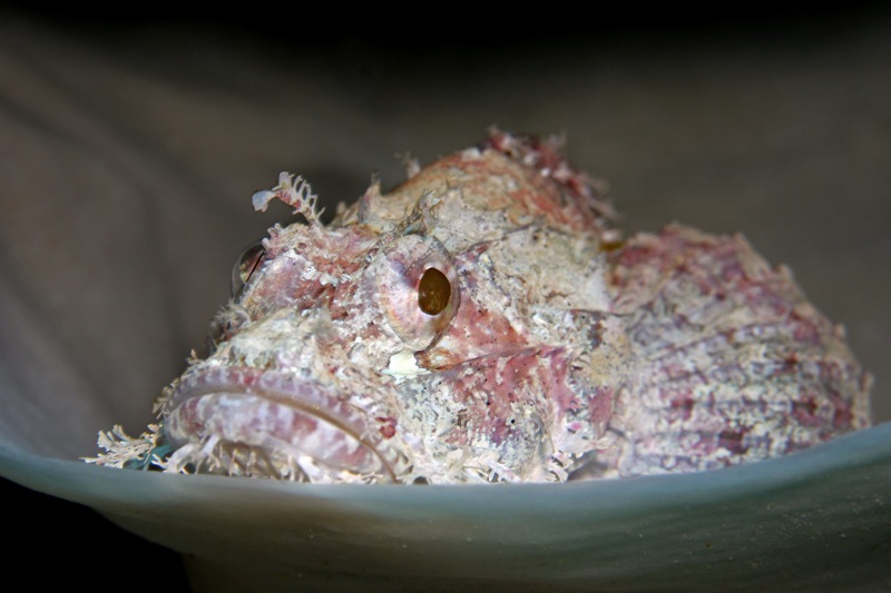 Photographer:
Juergen Stamms