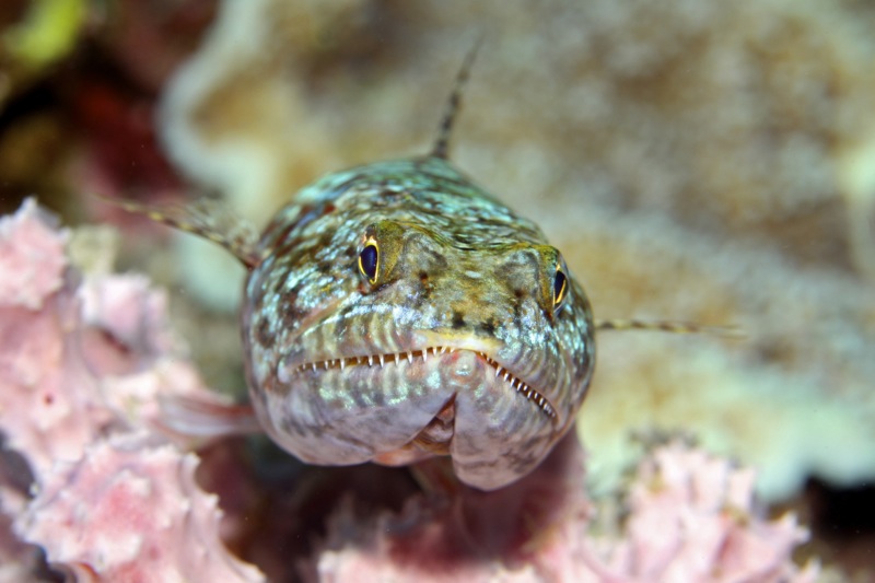 Photographer:
Juergen Stamms