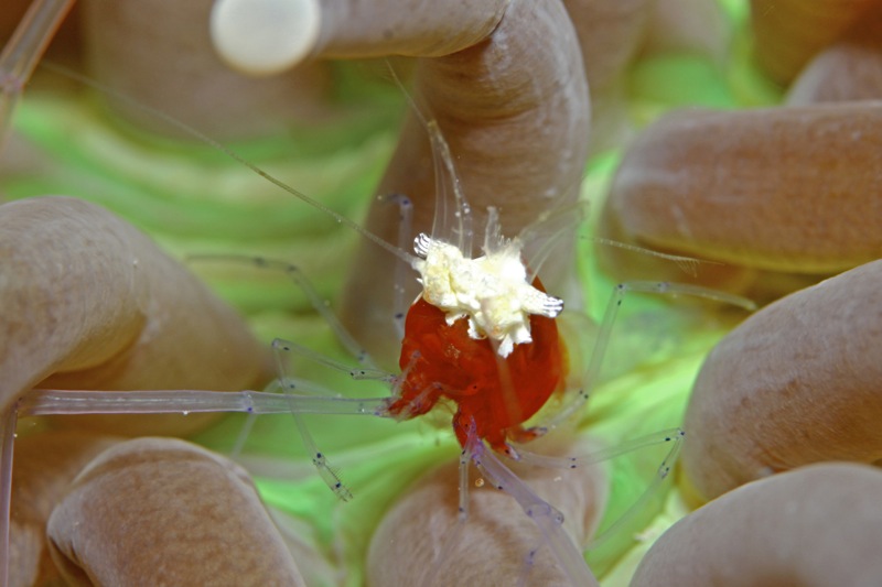 Photographer:Juergen Stamms