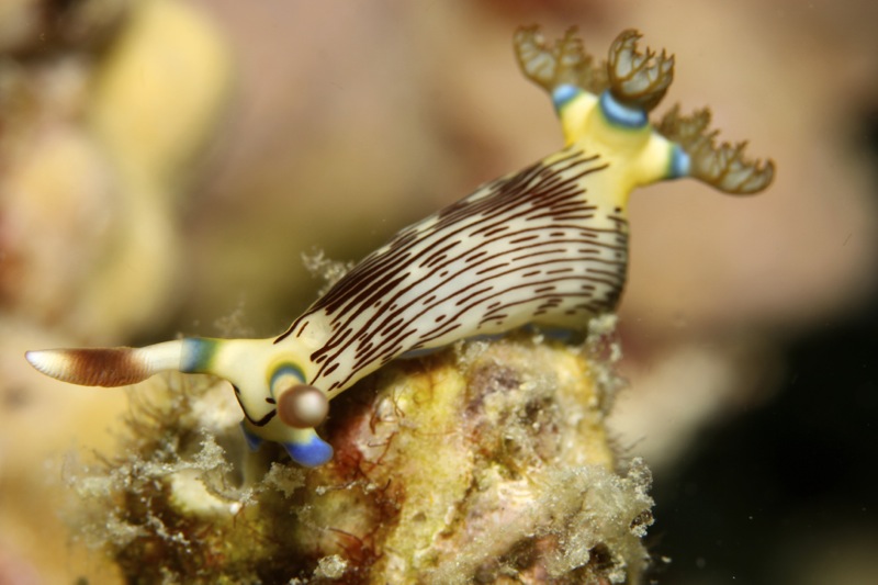 Photographer:
Juergen Stamms