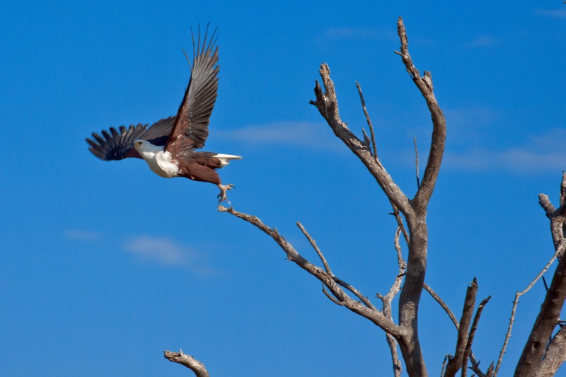 Photographer:
Juergen Stamms