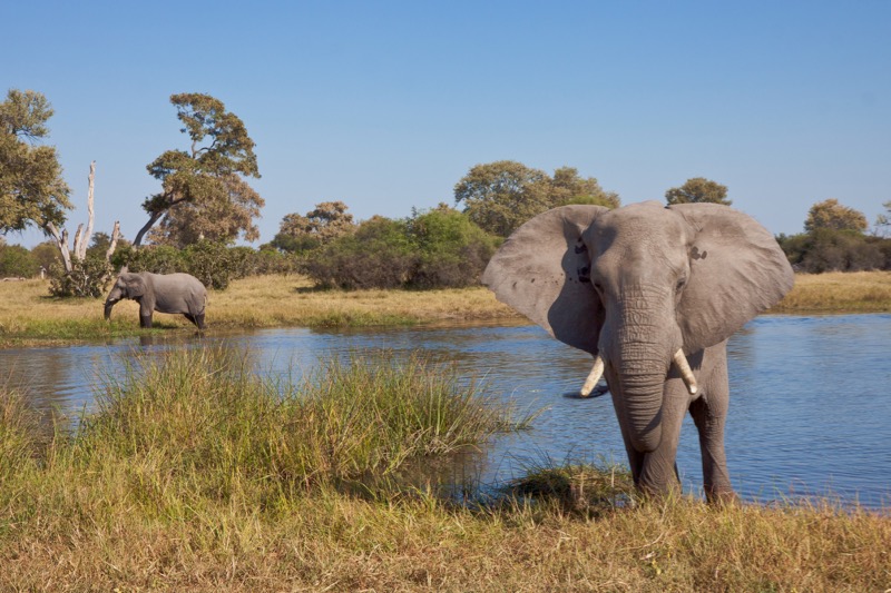 Photographer:
Juergen Stamms