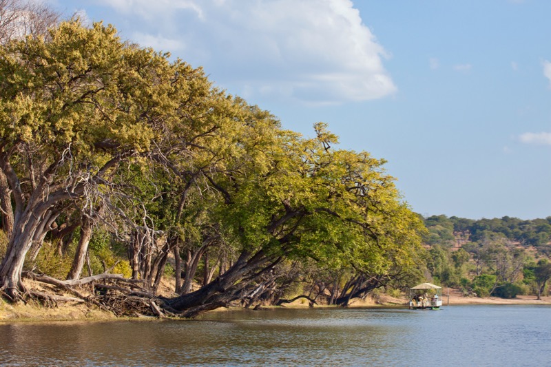 Photographer:
Juergen Stamms