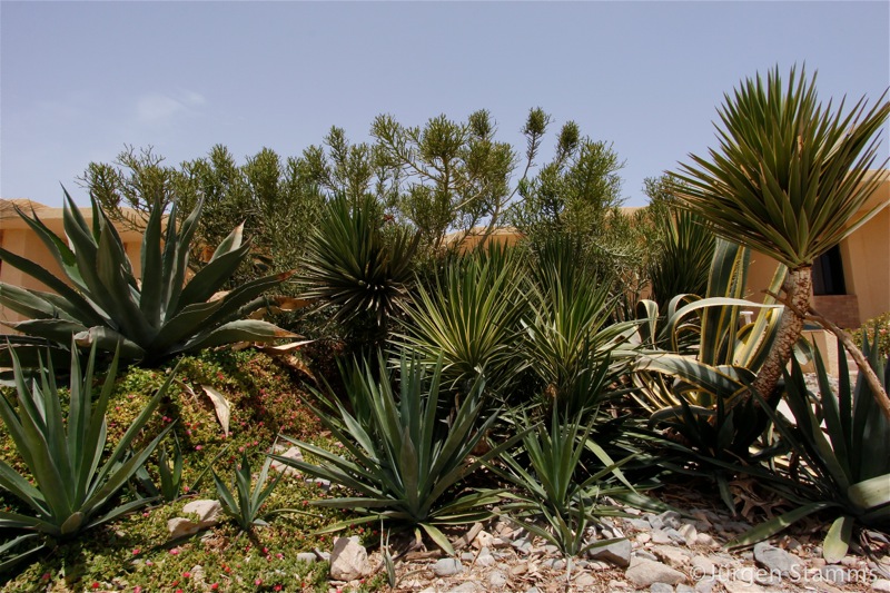 Photographer:Juergen Stamms