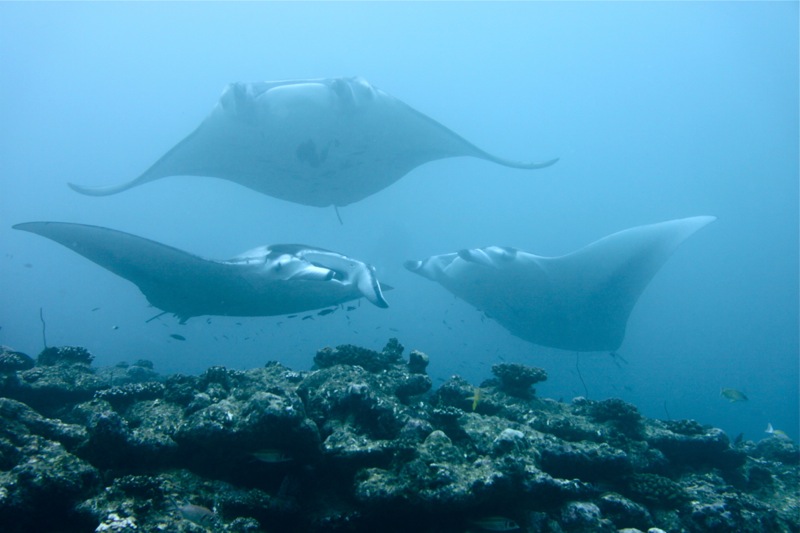 Photographer:Juergen Stamms