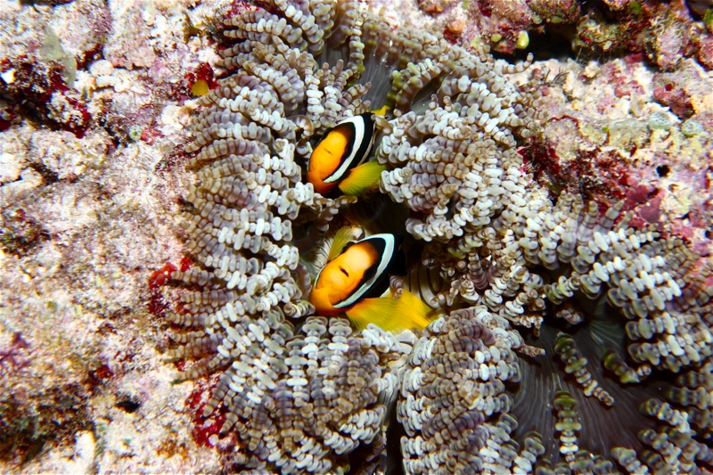 Photographer:Juergen Stamms