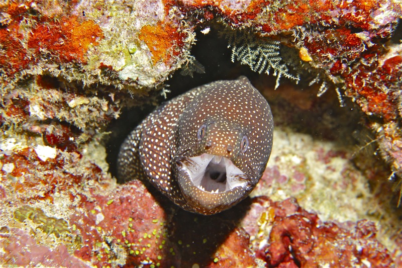 Photographer:
Juergen Stamms