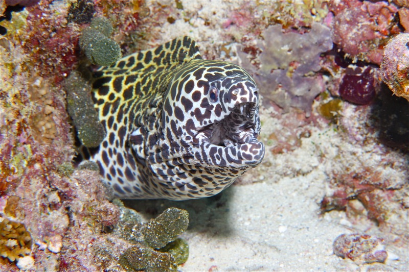 Photographer:Juergen Stamms