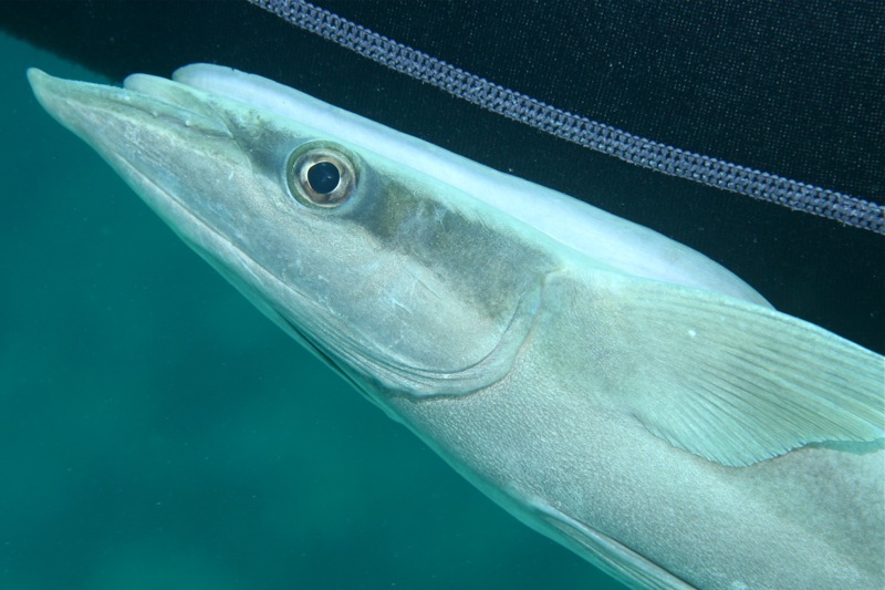 Photographer:Juergen Stamms