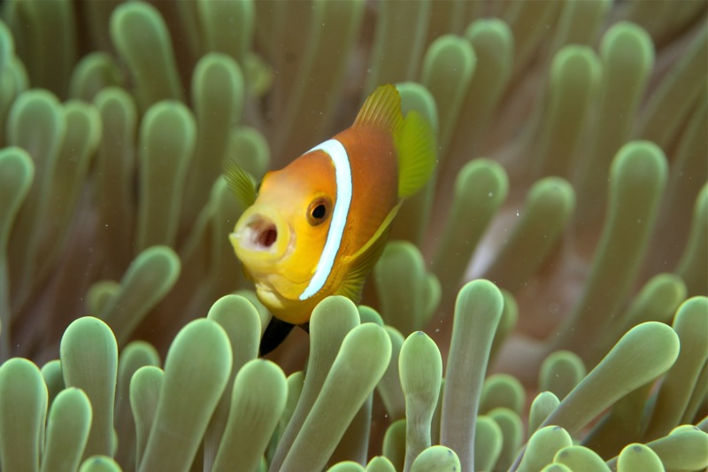 Photographer:Juergen Stamms