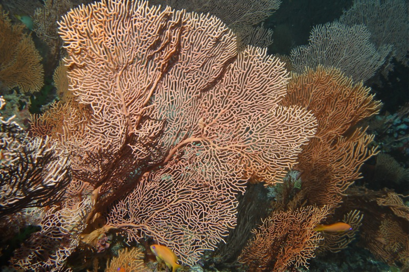 Photographer:Juergen Stamms