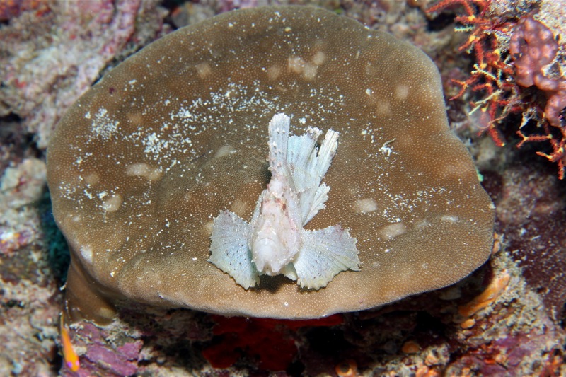 Photographer:Juergen Stamms