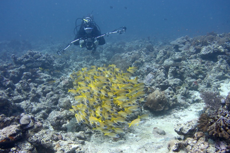 Photographer:Juergen Stamms