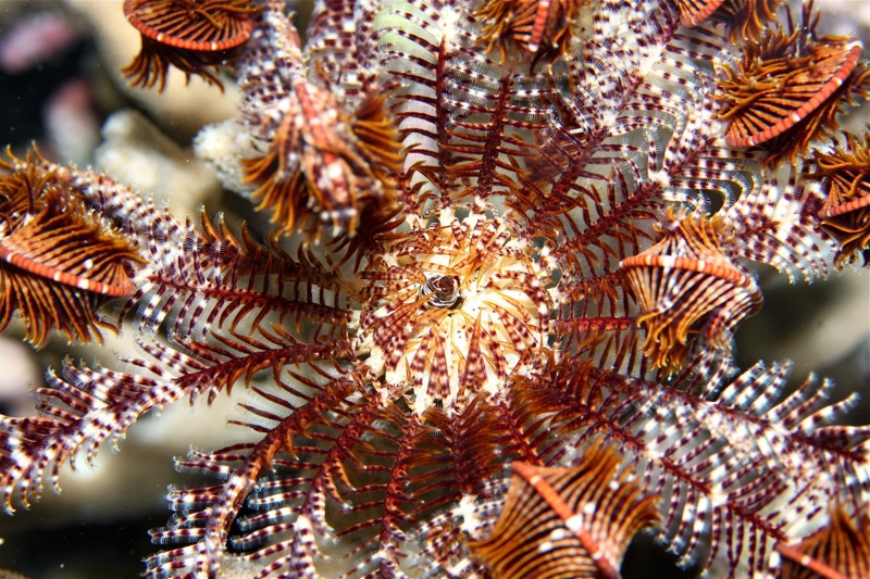 Photographer:Juergen Stamms