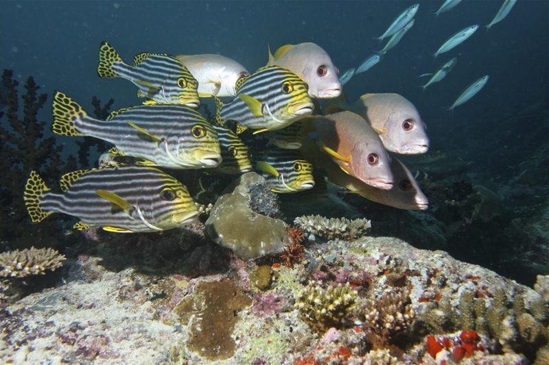 Photographer:
Juergen Stamms