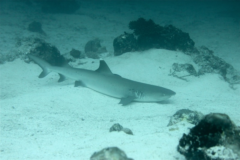 Photographer:Juergen Stamms