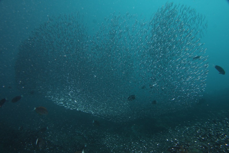 Photographer:
Juergen Stamms