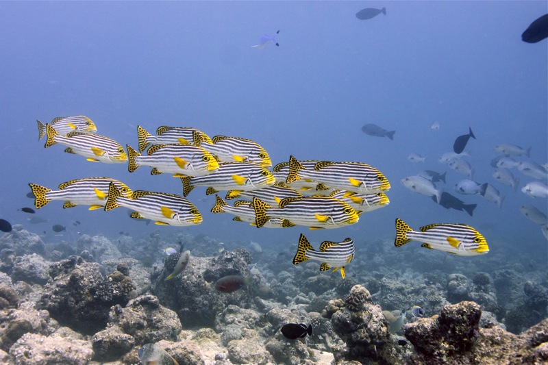 Photographer:
Juergen Stamms