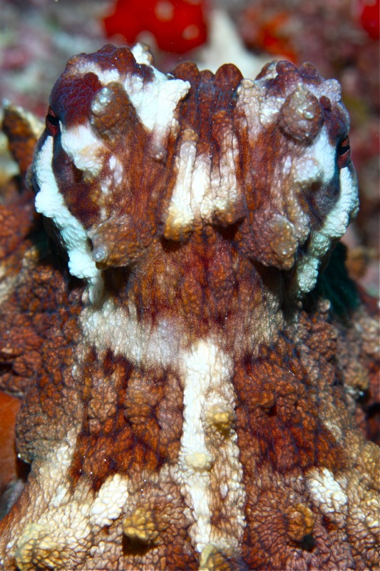 Photographer:Juergen Stamms