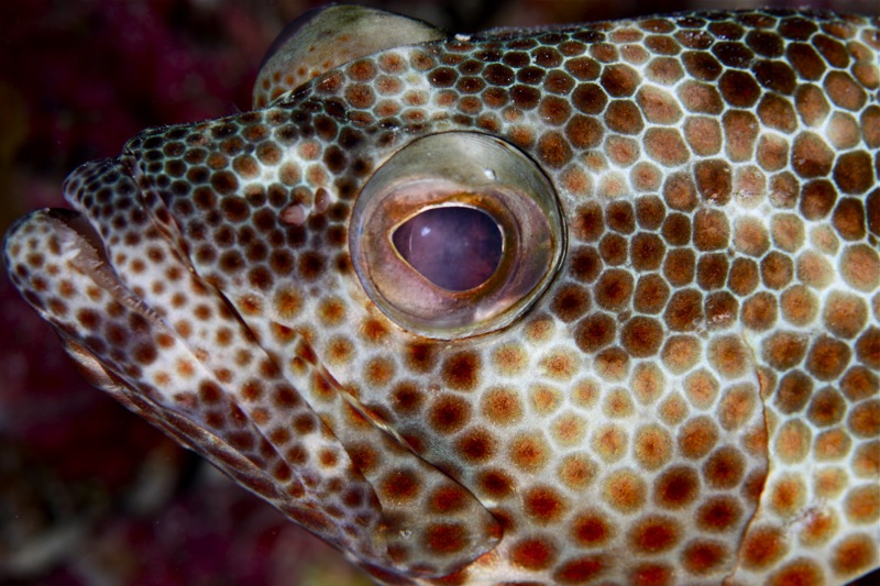 Photographer:Juergen Stamms