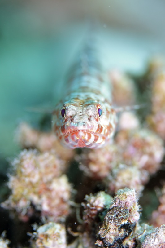 Photographer:Juergen Stamms