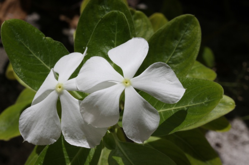 Photographer:
Juergen Stamms