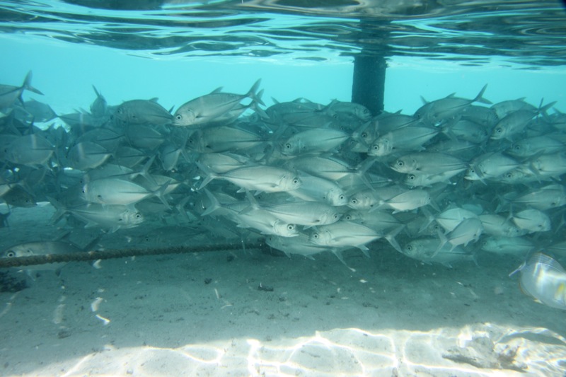 Photographer:Juergen Stamms