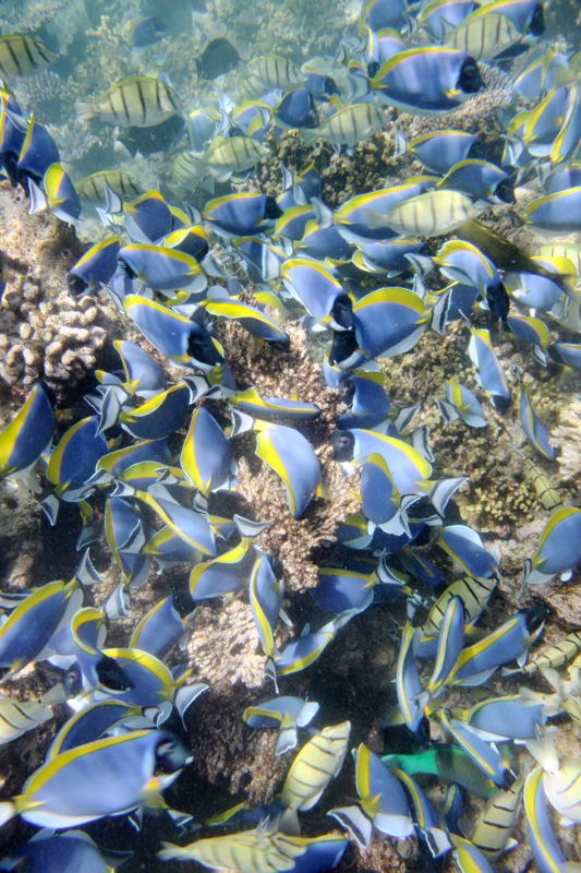 Photographer:Juergen Stamms