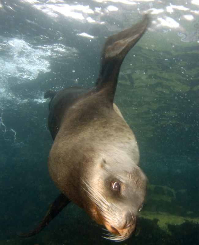 Photographer:Juergen Stamms