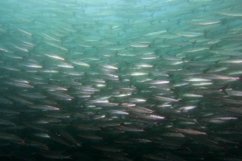 Photographer:Juergen Stamms