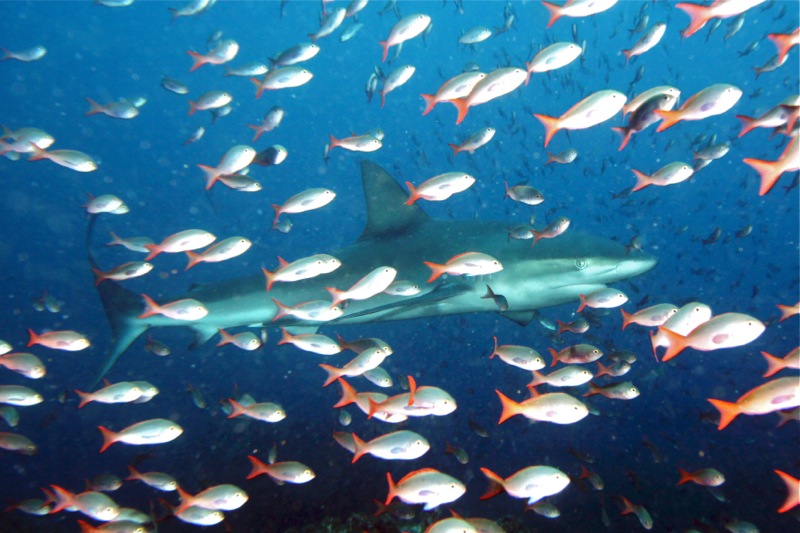 Photographer:Juergen Stamms