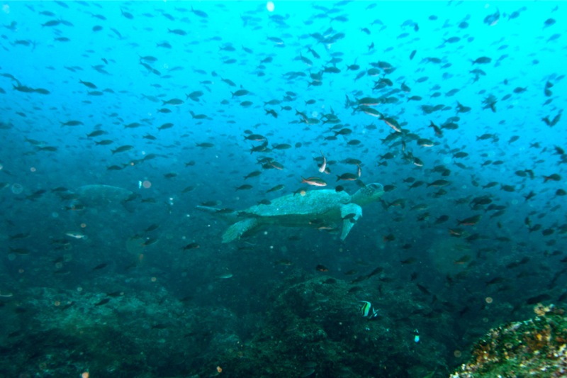 Photographer:Juergen Stamms