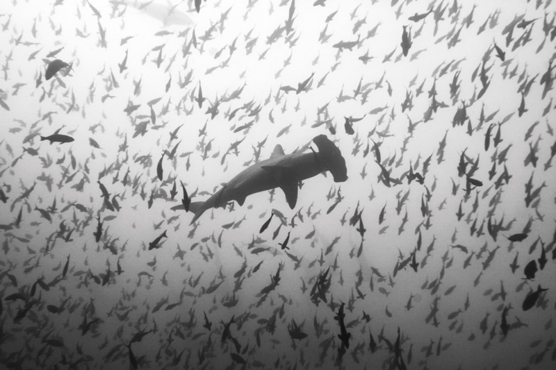 Photographer:Juergen Stamms