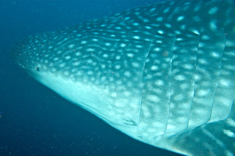 Photographer:Juergen Stamms