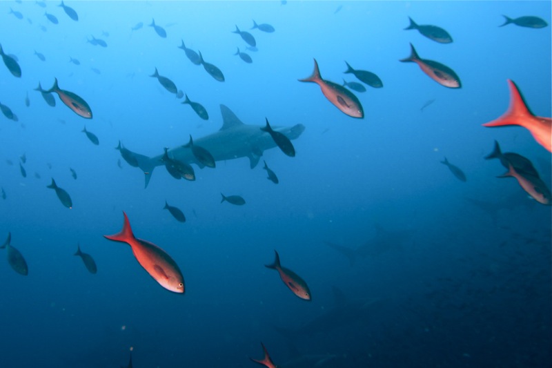 Photographer:Juergen Stamms