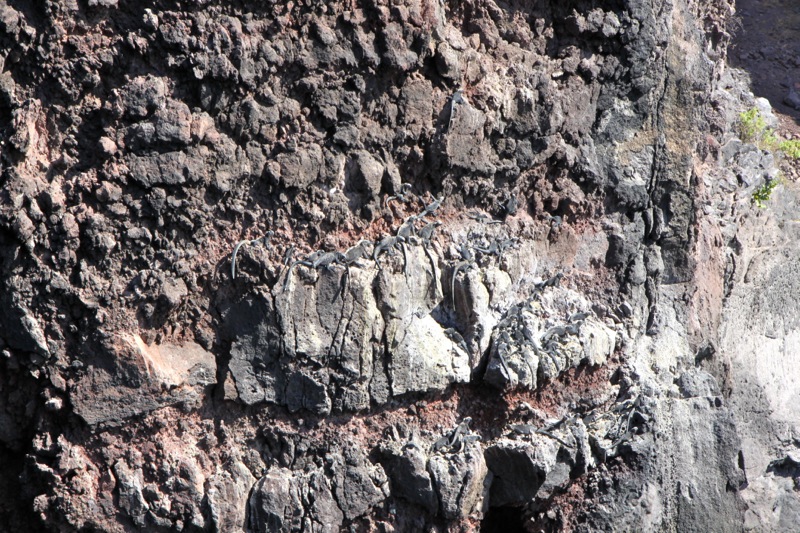 Photographer:Juergen Stamms